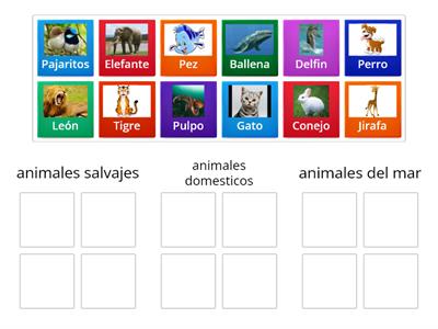 Animales 