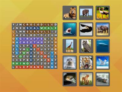 Grade7: Wild Animals Puzzle