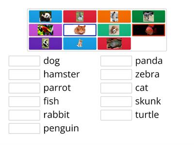 T5B 3.10 &11 animals match up pictures