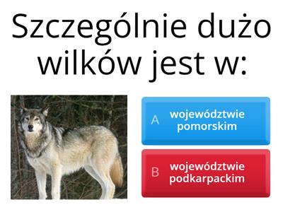 Quiz o Polsce A2+