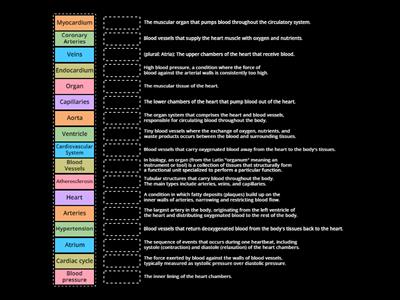 The Physical Heart Vocab Match ups