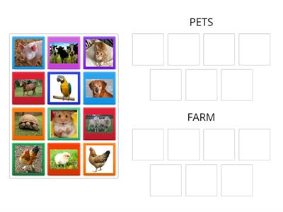 PETS and FARM ANIMALS