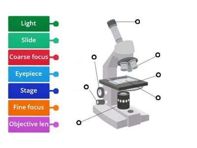 Junior cert Labelling Microscope