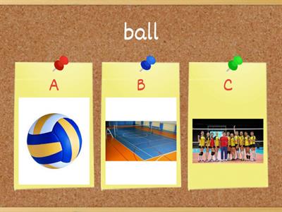 Volleyball Words Quiz