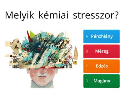 Stresszforrások 