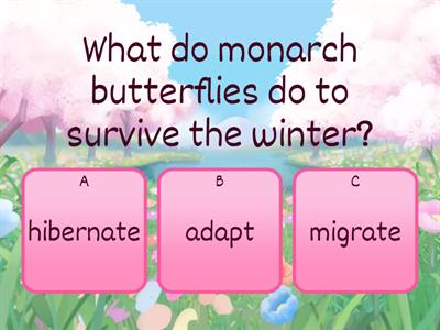 NGL Level 1 Unit 2 LS - 18 Game 1 Quiz