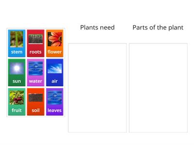 What do plants need?