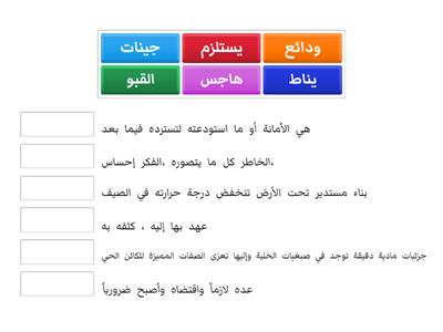 بنك البذور