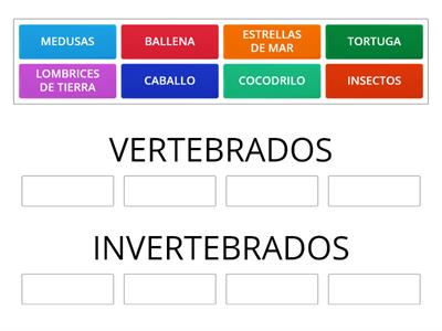 CLASIFICA LOS ANIMALES VERTEBRADOS E INVERTEBRADOS 