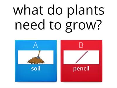   plant needs& plants parts