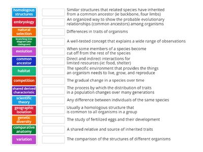 Evolution Vocabulary