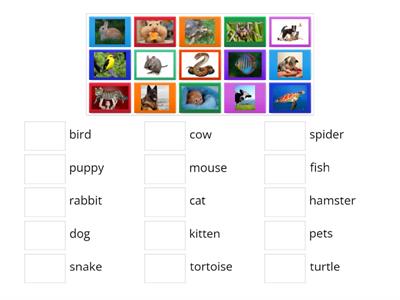 Bright Ideas 1 animals Unit 4