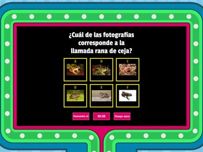 Repaso anfibios y reptiles