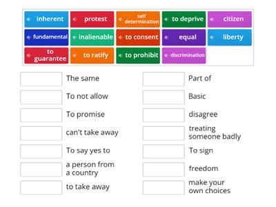 Human Rights vocab