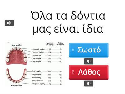 ΚΑΘΗΜΕΡΙΝΕΣ ΣΥΝΗΘΕΙΕΣ ΣΤΟΜΑΤΙΚΗΣ ΥΓΙΕΙΝΗΣ 