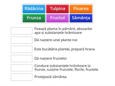 Despre plante