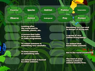 Wildlife Vocabulary - Matching to definitions!