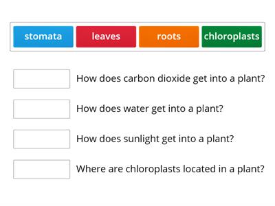 Junior cert science ingredients of photosynthesis get in to a plant.