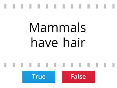 Mammals true or false ?