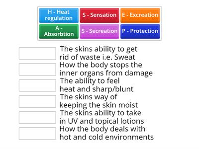 Functions of the skin