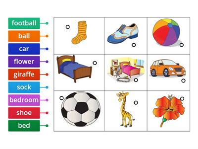 Unit 3 pre teach