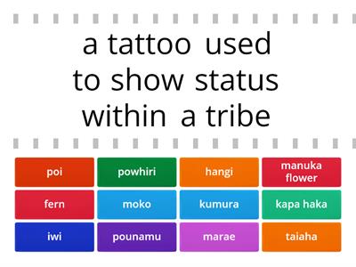 Traditional Maori Culture Review 