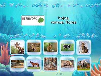 Animales hervívoros y carnívoros