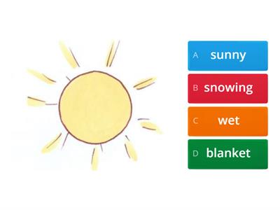 TINY 1B VOCABULARY REVIEW- QUIZ