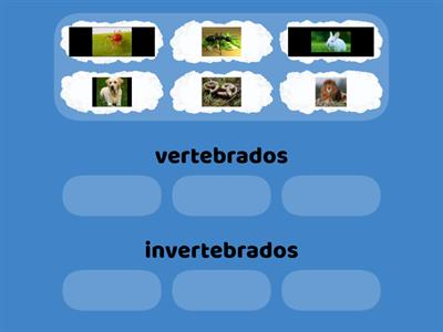 animales vertebrados 