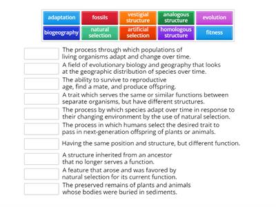 Epic Ed Bio-2 Topic 9 Evolution Vocabulary Match up