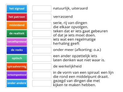 STAAL groep 7 Hersenen 2b