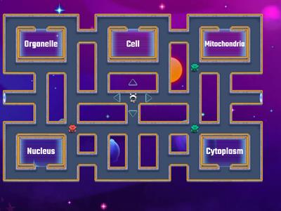 Organelles: Maze Chase