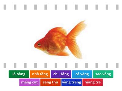 ang ăng âng | Tiếng Việt 1 | Sách Chân Trời Sáng Tạo