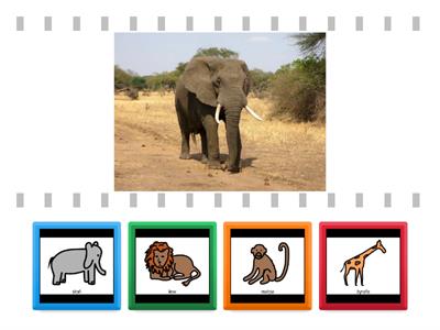 Zwięrzęta afrykańskie - dopasuj piktogram do obrazka