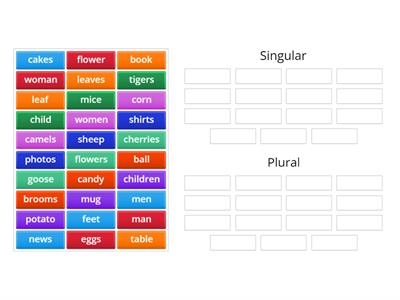 Singular and plural  nouns by Teacher Rajes (SJKT Sg Ara)