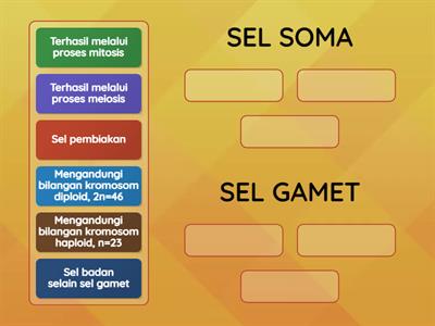 BIOLOGI T4: Pembahagian Sel Organisma