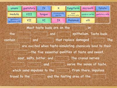 The Chemical Senses: Taste and Smell