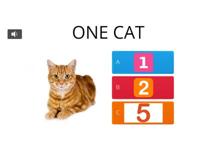 Count cats - NUMBERS Quiz 1-6