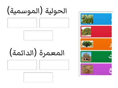 تصنيف النبات الطبيعي في دولة قطر (النباتات الحولية ، النباتات المعمرة) إثرائي