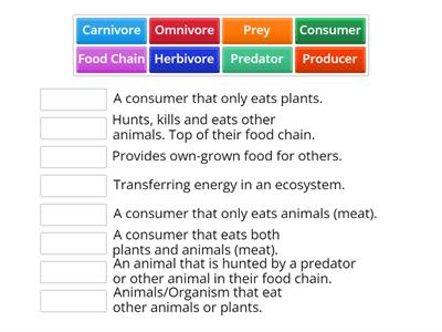 Food Chains