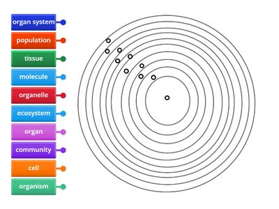 organization 2 -circles
