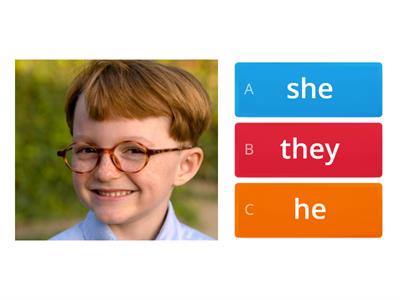 Pronouns (he, she, they, it)