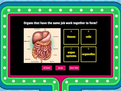 Cells-tissues-organs-organ systems!