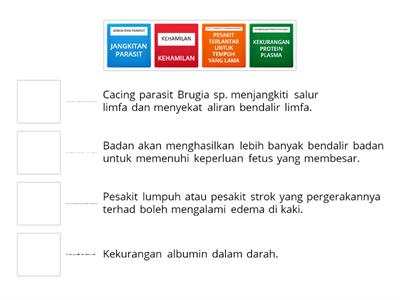 Isu Kesihatan Berkaitan Sistem Limfa Manusia