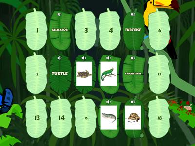 Reptiles Easy Memory Game (EFOC)
