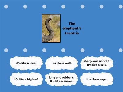 The Six Blind Man and The Elephant: Find the match