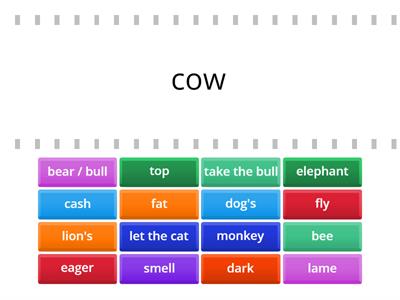 Animal idioms