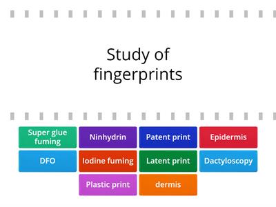 Fingerprint Unit review