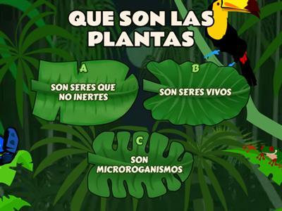 LAS PLANTAS