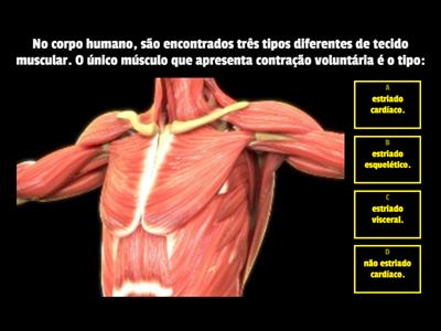 Tecidos do corpo humano